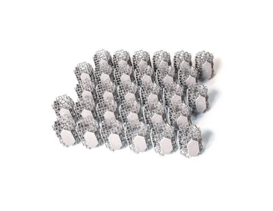 Stainless Steel 316L Stainless Steel 316L